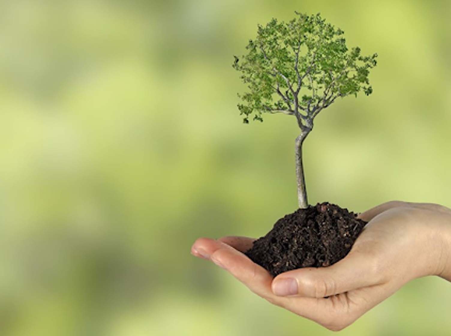 Gree E-cycling Process