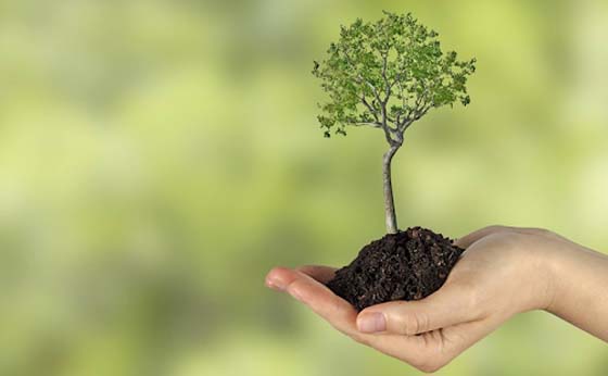 Gree E-cycling Process